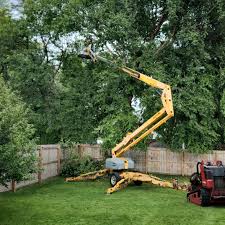 Best Lawn Pest Prevention  in Elwood, NY