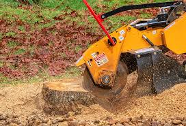 Best Arborist Consultation Services  in Elwood, NY