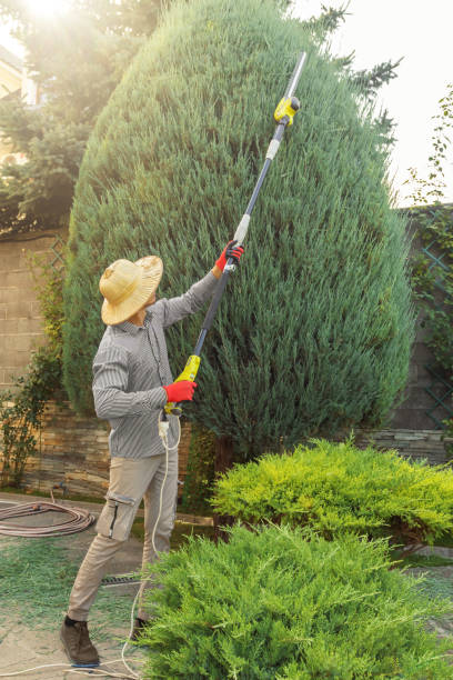 Best Commercial Tree Services  in Elwood, NY